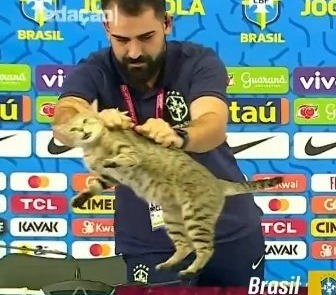 O jeito que o assessor pegou o gato, porém, rendeu alguns comentários negativos por parte de torcedores nas redes sociais