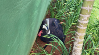 Esquadrão antibomba acha artefato suspeito