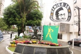Muda de pau-brasil homenageia Pelé junto a reduto de torcedores em Santos