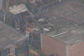 Casa atingida por árvore na Grande SP