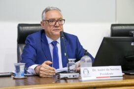 Presidente da Casa, vereador André Egydio