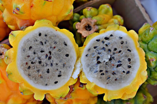 Pitaya é uma excelente fonte de fibras
