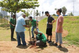 Mudas são plantadas em Santos