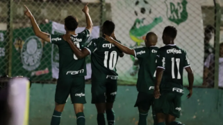 Palmeiras x América-MG decidem o título na próxima quarta-feira, dia 25 de janeiro, às 15h30 (de Brasília), no Canindé.
