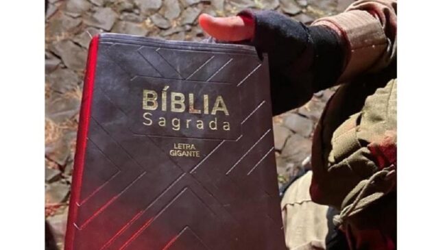 O suspeito foi algemado e, segundo a polícia, ao ter a prisão em flagrante por lesão corporal declarada falou que: "Jesus é bom. Que tem um anjo com espada do começo do mundo"
