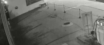 Na última quinta-feira (16), o animal foi gravado andando por um posto de gasolina da cidade.