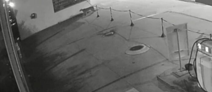 Na última quinta-feira (16), o animal foi gravado andando por um posto de gasolina da cidade.