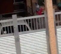 Uma idosa, que seria dona de cerca de 45 cachorros e 45 gatos, foi acusada pelos vizinhos de maus-tratos aos animais, na Vila Andrade, bairro nobre da zona sul de São Paulo