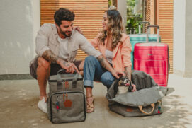 Produtos visam proporcionar conforto e segurança durante o transporte dos pets