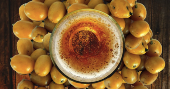 A cerveja pode contribuir até para o melhor funcionamento do intestino