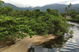 Córrego em Ilha Bela