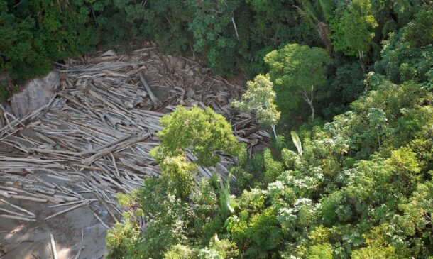 Números revelam um alto índice de ilegalidade no uso da terra