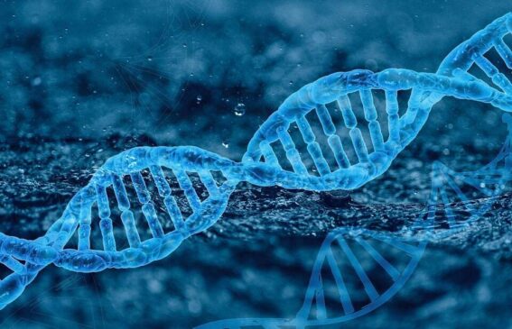 De acordo com a geneticista e bióloga molecular, Susana Massarani, ainda há muita desinformação acerca do DNA