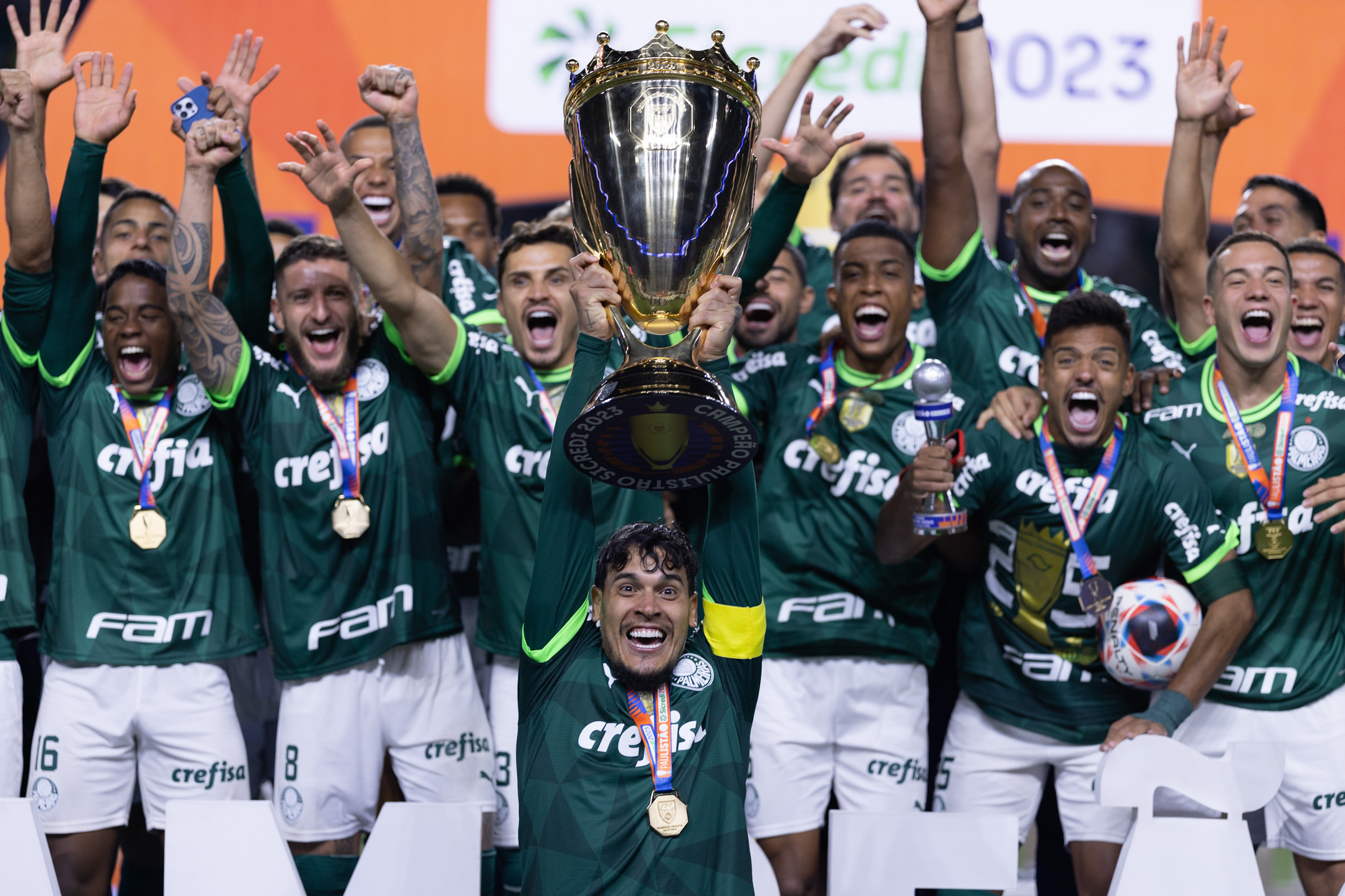 Palmeiras é o atual campeão paulista; time enfrenta o Novorizontino neste domingo, no Allianz Parque