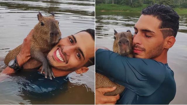 O magistrado disse que o argumento usado pelo Ibama de que animal silvestre estaria sendo criado como bicho de estimação