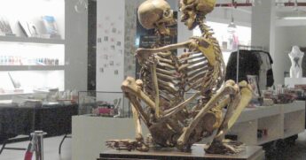 Museu do Sexo, em Nova Iorque