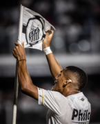 Além de um novo treinador, a diretoria do Santos busca um escudo que sirva como "imagem" contra o possível rebaixamento