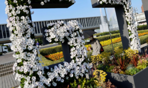 No Japão ocorrerá a Cúpula do G7