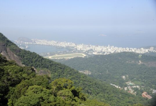 Além de ser o bioma terrestre com maior biodiversidade do mundo, também é o lar de 72% da população brasileira, ou 145 milhões de pessoas