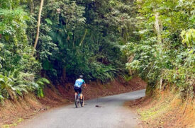 Parque conta com cerca de 10km de trajeto para ciclistas