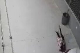 Mulher e bebê são derrubados no chão por motorista de aplicativo que arrancou com o carro