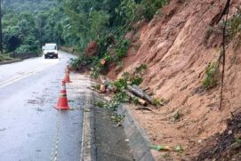A queda de uma árvore e uma barreira complicaram o tráfego na rodovia Rio-Santos.