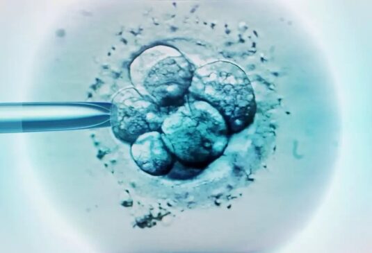 Pelo menos três times diferentes de cientistas anunciaram o desenvolvimento de modelos de embriões humanos "sintéticos" em laboratório