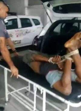As imagens das câmeras corporais dos policiais que atuaram na ocorrência foram inseridas no inquérito e estão disponíveis para consulta pelos órgãos legais