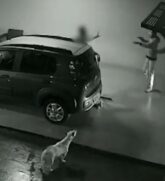 Imagens de segurança também registraram o momento do crime.