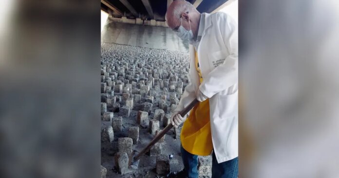 Padre Julio Lancelotti quebrou a marretadas pedras colocadas sob viadutos em SP