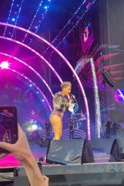 Pink é surpreendida com cinzas de mãe de fã