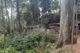A vítima foi encontrada na favela Capadócia, na região da Vila Brasilândia, zona norte da capital.