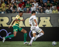 Raul Baretta/ Santos FC