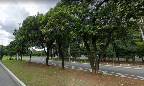 Avenida Santos Dumont