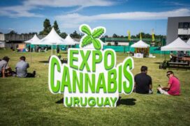 A feira ExpoCannabis, voltada aos negócios envolvendo a planta, terá sua primeira edição em São Paulo em setembro.
