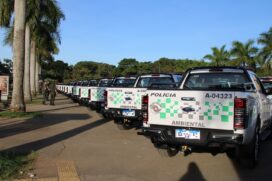 De janeiro a junho, foram atendidas 36.270 denúncias pelas equipes da PM Ambiental