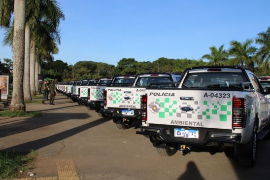De janeiro a junho, foram atendidas 36.270 denúncias pelas equipes da PM Ambiental