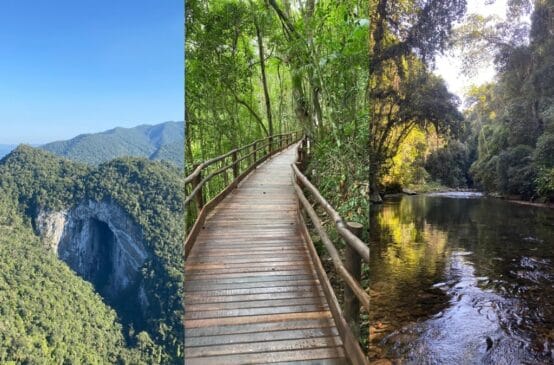 O que cada um de nós tem feito em prol do Meio Ambiente?