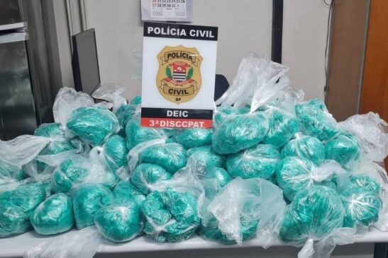 De acordo com a corporação, as drogas seriam destinadas ao tráfico na região da cracolândia, no centro da Capital.