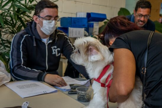 Cães e gatos serão castrados e microchipados neste sábado, 26 de agosto, durante mutirão do CCZ de Taboão da Serra