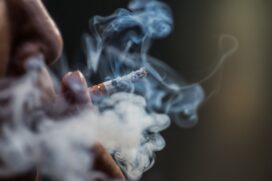 A conclusão é de um estudo feito por cientistas das universidades de São Paulo (USP) e do Chile, cujos resultados foram publicados no International Journal of Molecular Sciences