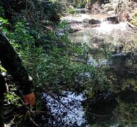 Corpo de João Pedro foi encontrado em um córrego na zona rural de Santo Anastácio (SP)