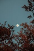 Uma das sugestões é aproveitar o período para se dedicar a atividades de natureza artística, que estimulem a expressão criativa