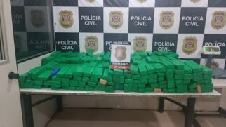 Durante abordagem ao motorista do veículo investigado, os policiais encontraram na caçamba da caminhonete centenas de tijolos de maconha, que pesaram 293 quilos