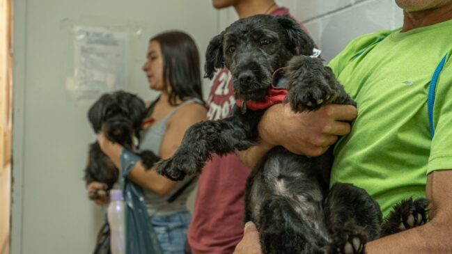 Na última ação em Taboão da Serra, realizada em agosto, mais de 130 animais foram contemplados
