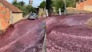 Em vez de água, ruas do município foram tomadas por um
