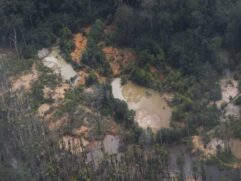 Terra Indígena Yanomami é o alvo de esquemas de contrabando