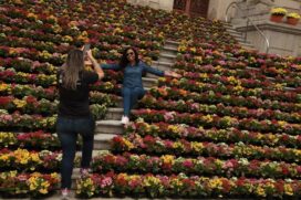 Estação mais colorida do ano será recebida em Santos com aproximadamente 8 mil flores