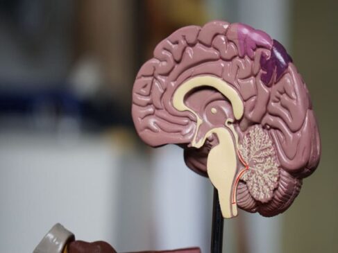 Dia Mundial de Conscientização da Doença de Alzheimer é nesta quinta-feira (21)