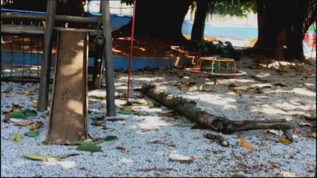 Tronco atingiu criança de cinco anos, que não resistiu as ferimentos e morreu